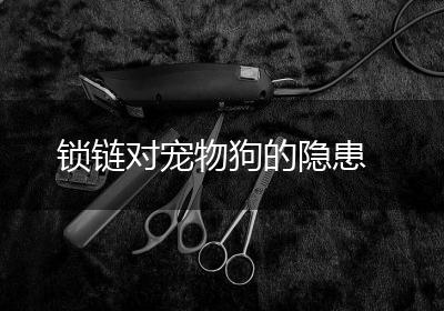 锁链对宠物狗的隐患