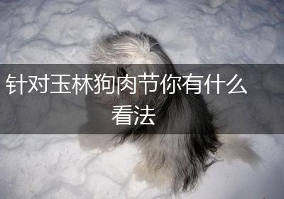 针对玉林狗肉节你有什么看法
