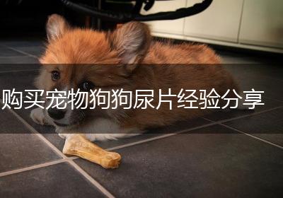 购买宠物狗狗尿片经验分享