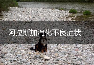 阿拉斯加消化不良症状