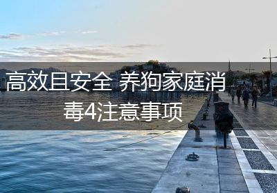 高效且安全 养狗家庭消毒4注意事项