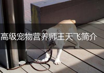 高级宠物营养师王天飞简介
