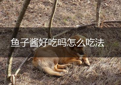 鱼子酱好吃吗怎么吃法