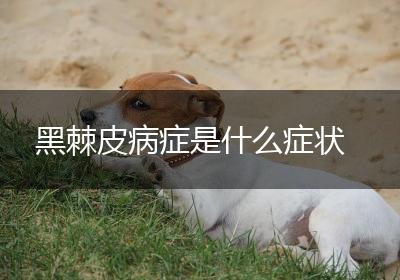 黑棘皮病症是什么症状