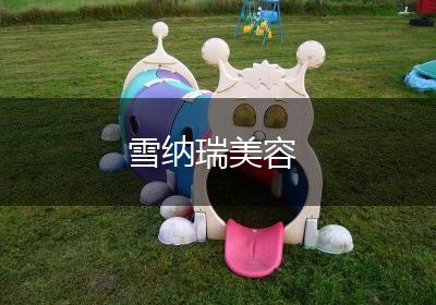 雪纳瑞美容