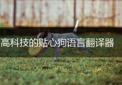 高科技的贴心狗语言翻译器