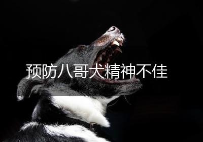 预防八哥犬精神不佳