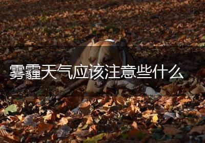 雾霾天气应该注意些什么