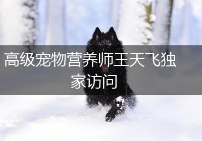 高级宠物营养师王天飞独家访问
