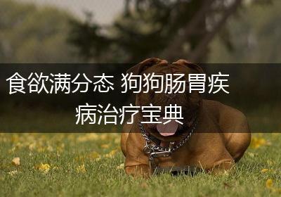 食欲满分态 狗狗肠胃疾病治疗宝典