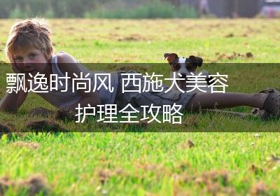 飘逸时尚风 西施犬美容护理全攻略