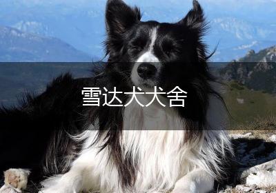 雪达犬犬舍