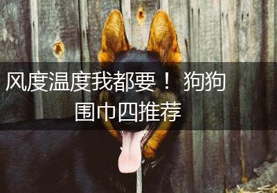 风度温度我都要！ 狗狗围巾四推荐