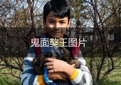 鬼面獒王图片