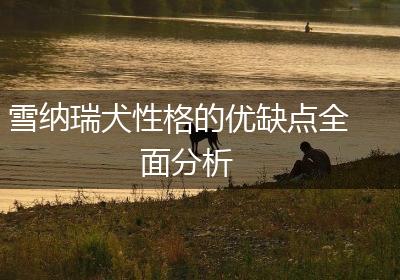 雪纳瑞犬性格的优缺点全面分析