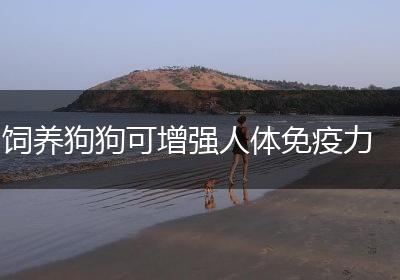 饲养狗狗可增强人体免疫力