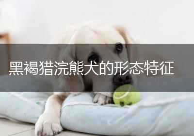 黑褐猎浣熊犬的形态特征
