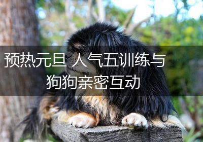 预热元旦 人气五训练与狗狗亲密互动