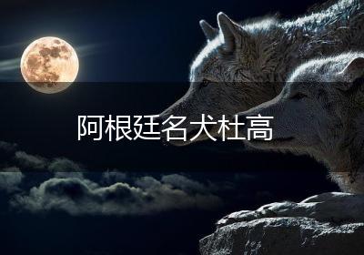阿根廷名犬杜高
