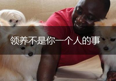 领养不是你一个人的事