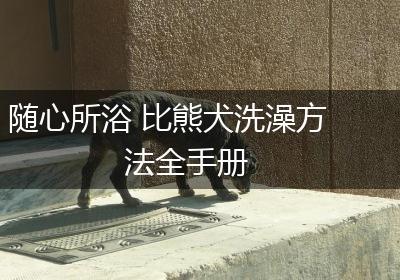 随心所浴 比熊犬洗澡方法全手册