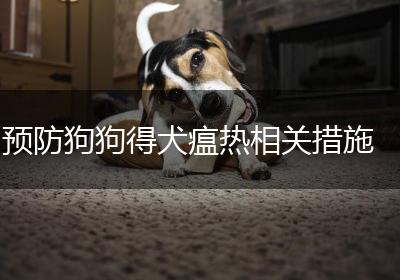 预防狗狗得犬瘟热相关措施