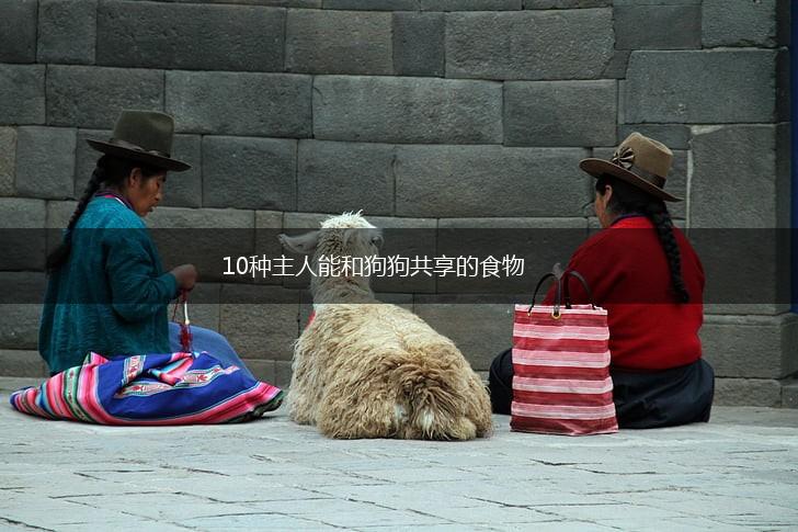 10种主人能和狗狗共享的食物,第1张
