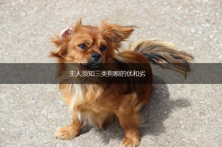 主人须知三类狗粮的优和劣,第1张