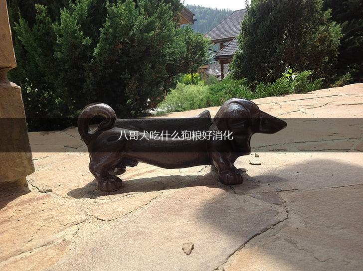 八哥犬吃什么狗粮好消化,第1张