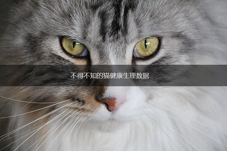 不得不知的猫健康生理数据,第1张