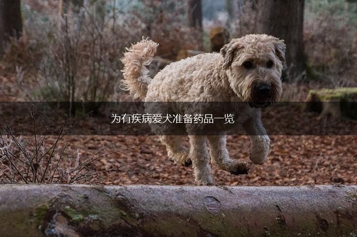 为有疾病爱犬准备药品一览,第1张