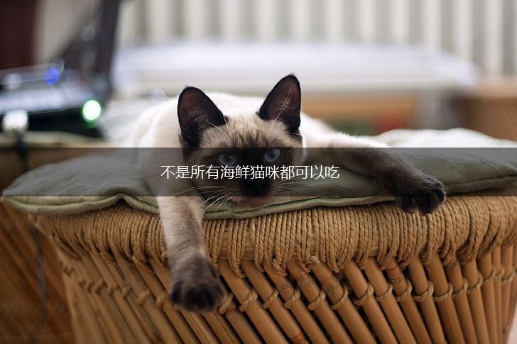 不是所有海鲜猫咪都可以吃,第1张