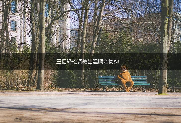 三招轻松调教出温顺宠物狗,第1张
