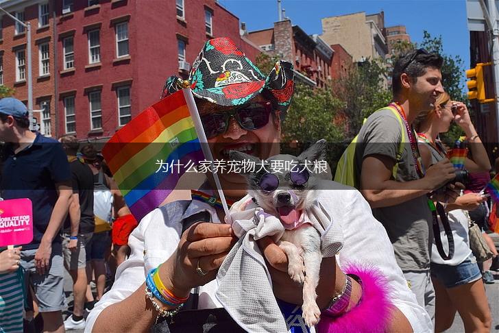为什么家养宠物犬要吃犬粮,第1张