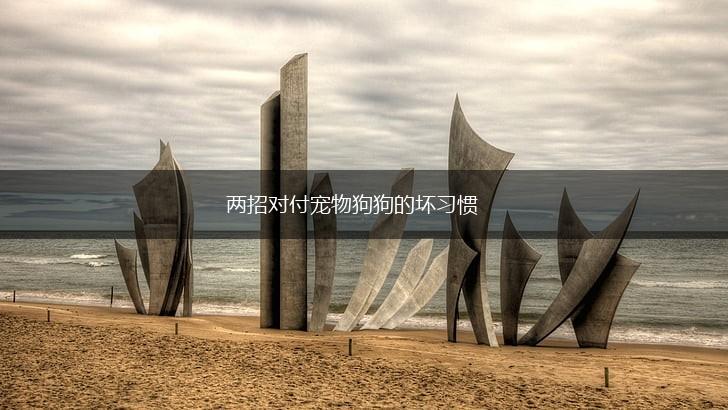 两招对付宠物狗狗的坏习惯,第1张