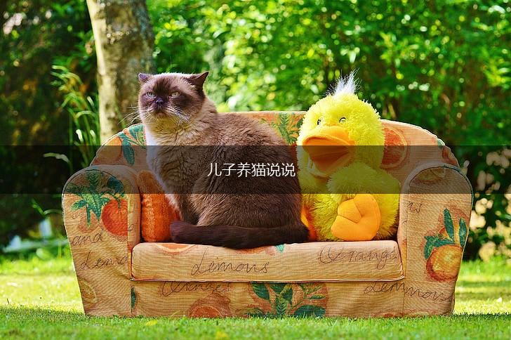 儿子养猫说说,第1张