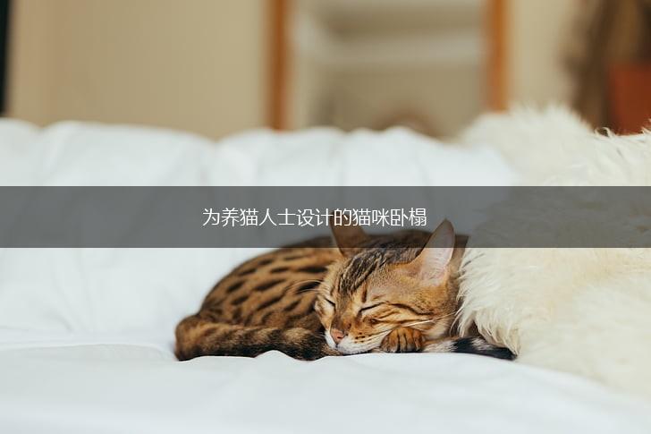 为养猫人士设计的猫咪卧榻,第1张