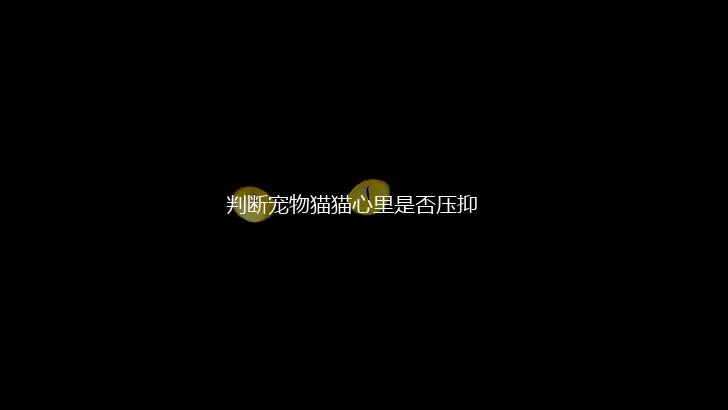 判断宠物猫猫心里是否压抑,第1张