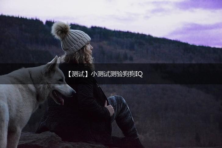 【测试】小测试测验狗狗IQ,第1张