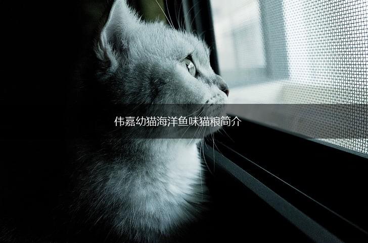 伟嘉幼猫海洋鱼味猫粮简介,第1张