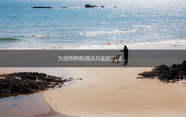 为宠物狗狗清洗耳垢的方法,第1张