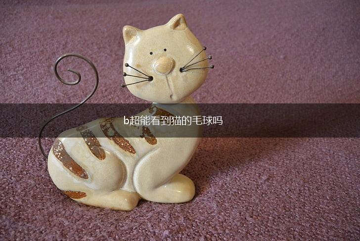 b超能看到猫的毛球吗,第1张