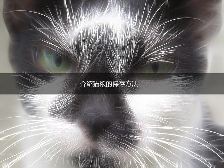 介绍猫粮的保存方法,第1张