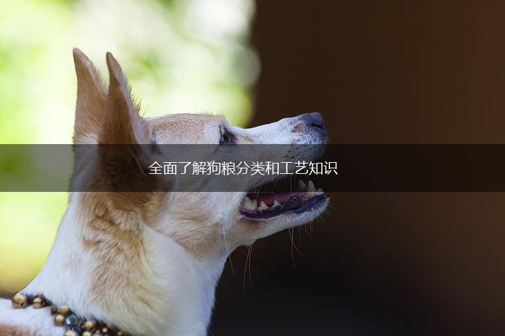 全面了解狗粮分类和工艺知识,第1张
