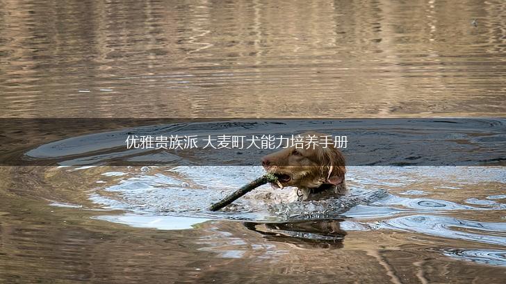 优雅贵族派 大麦町犬能力培养手册,第1张