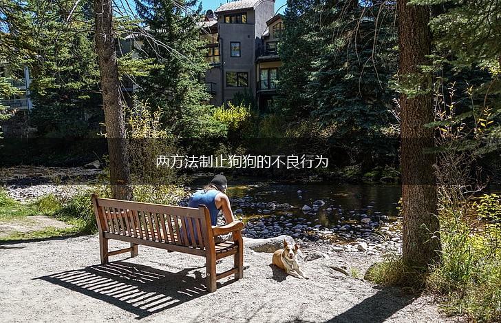 两方法制止狗狗的不良行为,第1张