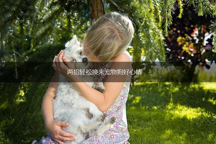 两招轻松换来宠物狗好心情,第1张