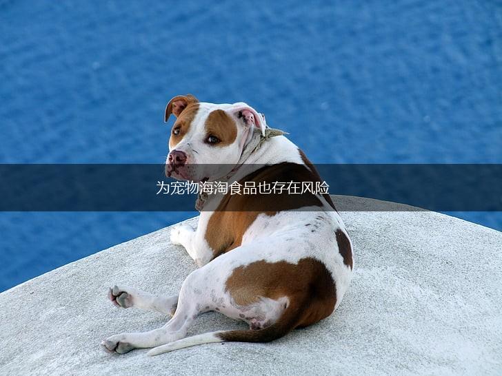 为宠物海淘食品也存在风险,第1张