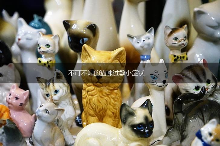 不可不知的猫咪过敏小症状,第1张