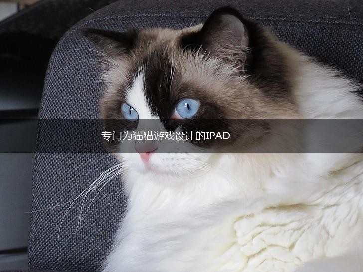 专门为猫猫游戏设计的IPAD,第1张